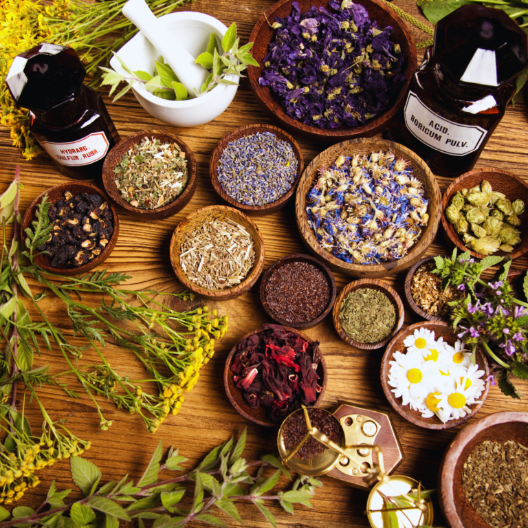 Herbal Remedies for Common Ailments: Effective Solutions to Everyday Health Issues