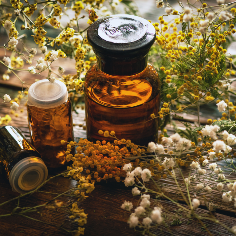 The History of Herbal Medicine: An Overview of Ancient Practices to Modern Applications